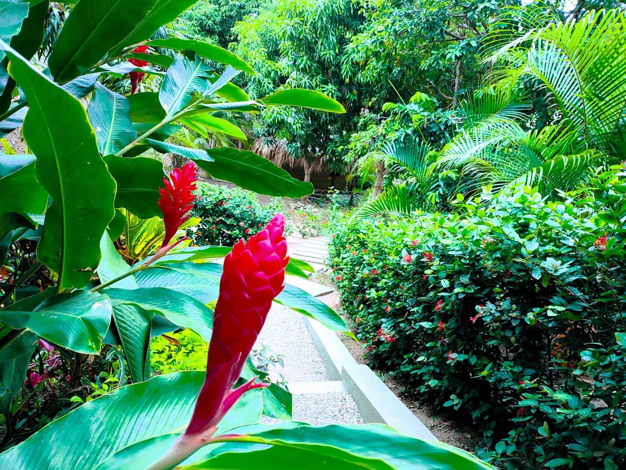 Hotel Isabella Tayrona Los Naranjos Exterior photo